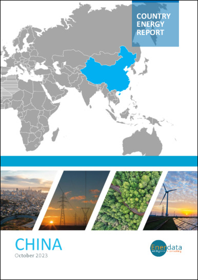 China energy report