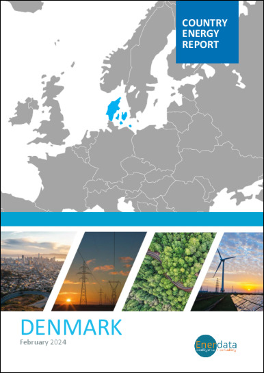 Denmark energy report