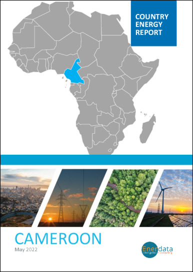 Cameroon energy report