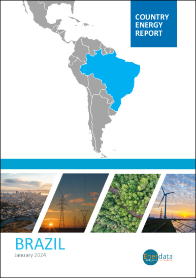 Brazil energy report