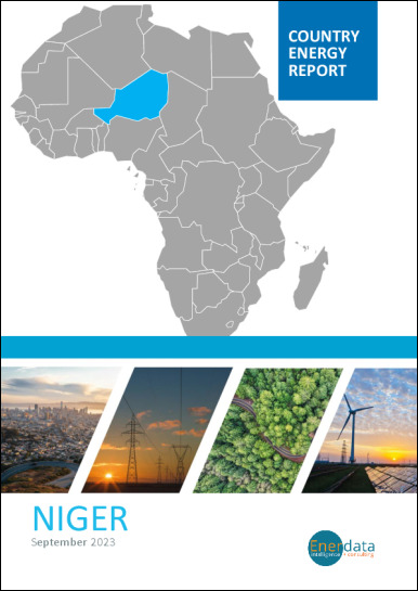 Niger energy report