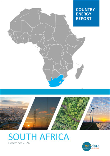 South Africa energy report