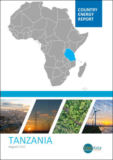 Tanzania energy report