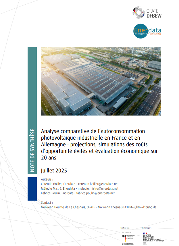 Synthèse pour l’Office franco-allemand pour la transition énergétique