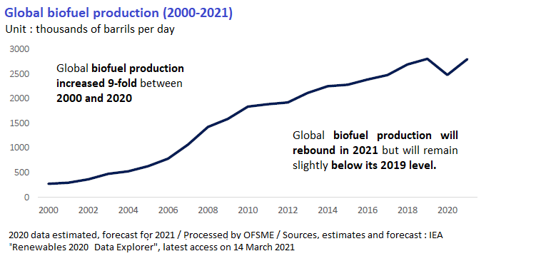 Global biofuel production
