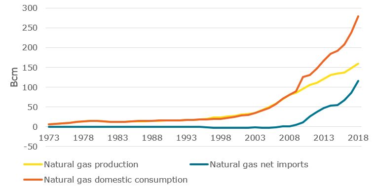 Production and consumption of natural gas in China