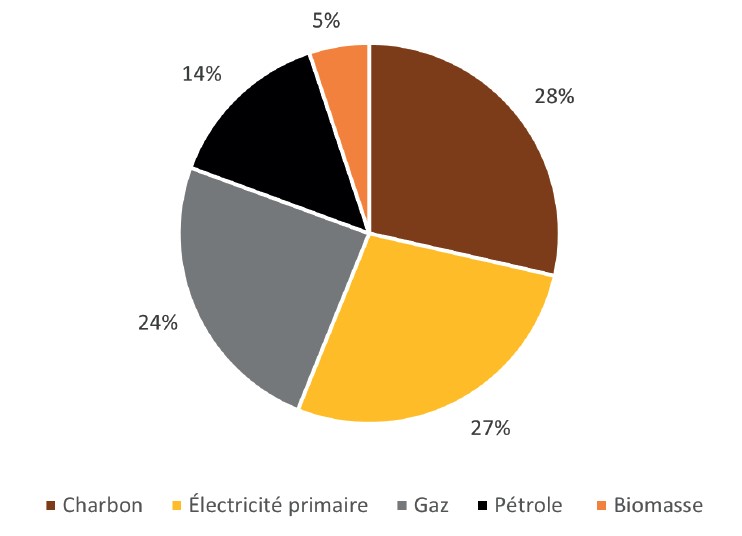 Consommation d’énergie primaire (2021, pourcentage)