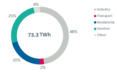 Belgium Energy Information | Enerdata