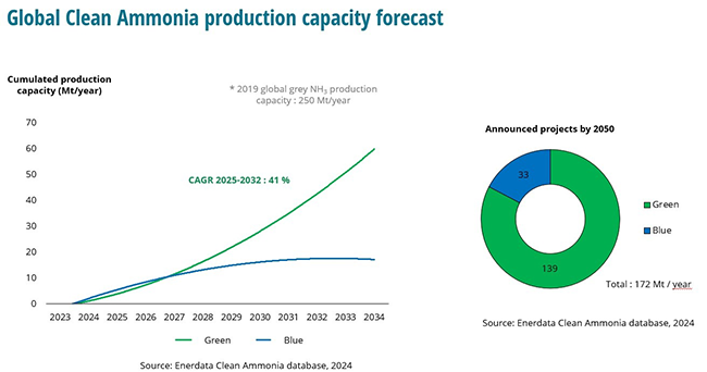 clean ammonia production capacity forecast
