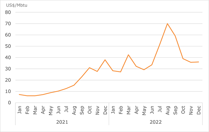 Natural gas average import price in Europe