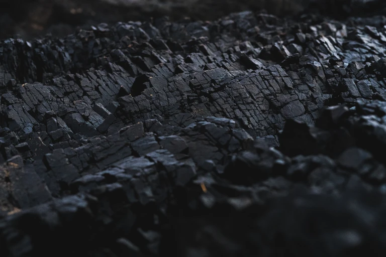 Coal