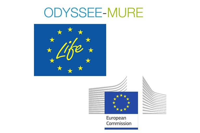 Odyssee Mure