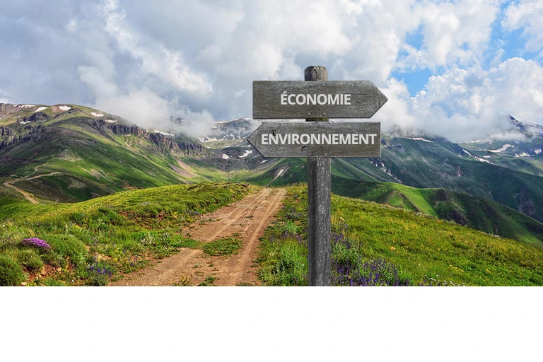 Economic theory and environment