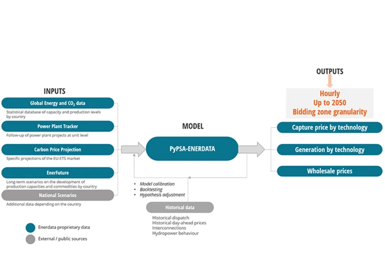 PyPSA model