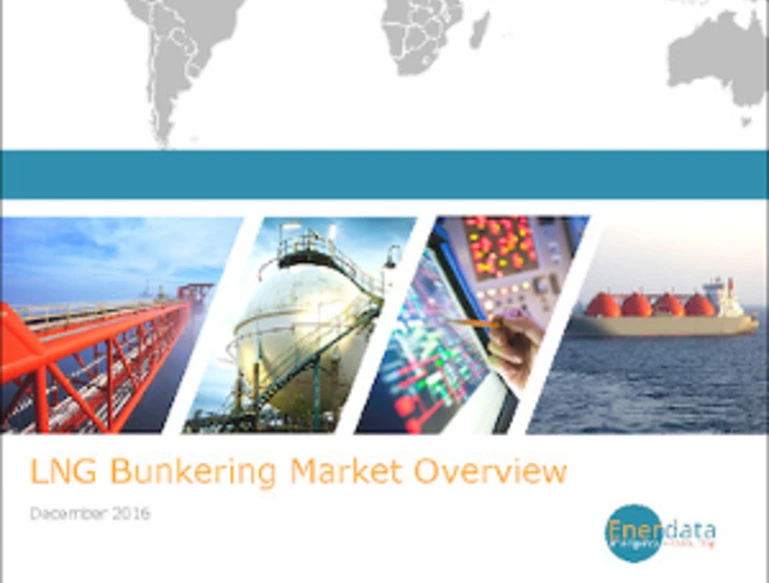 LNG Bunkering Market Overview