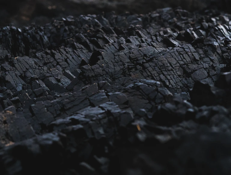 Coal
