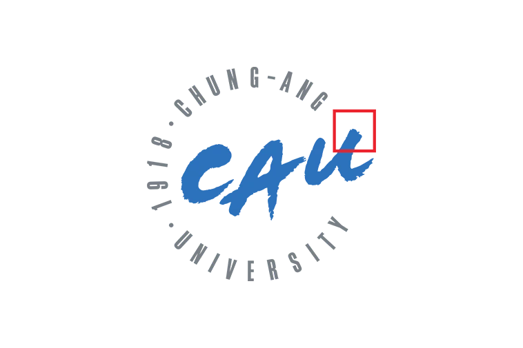 Chung Ang University