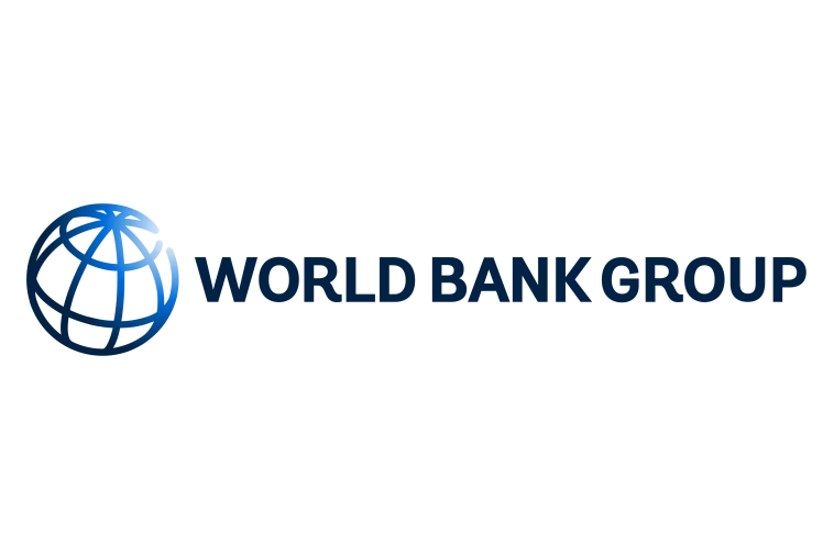 world bank group