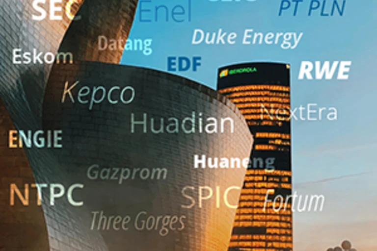 Power generation companies Power generation companies