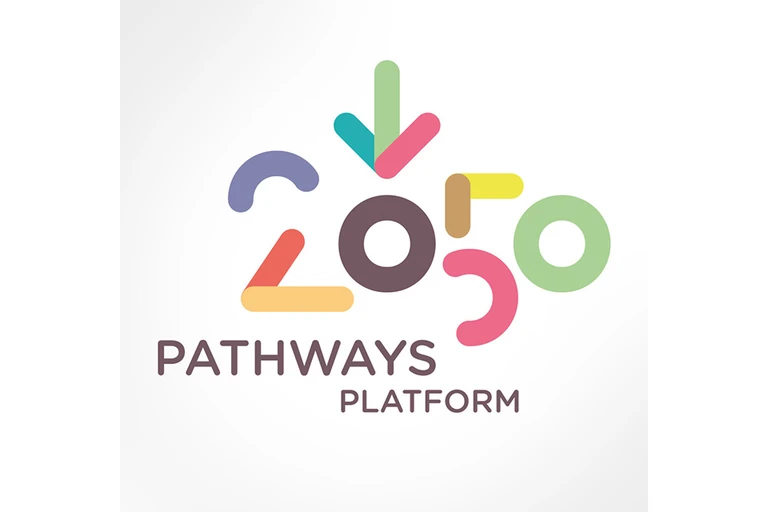 2050 Vision - Pathways