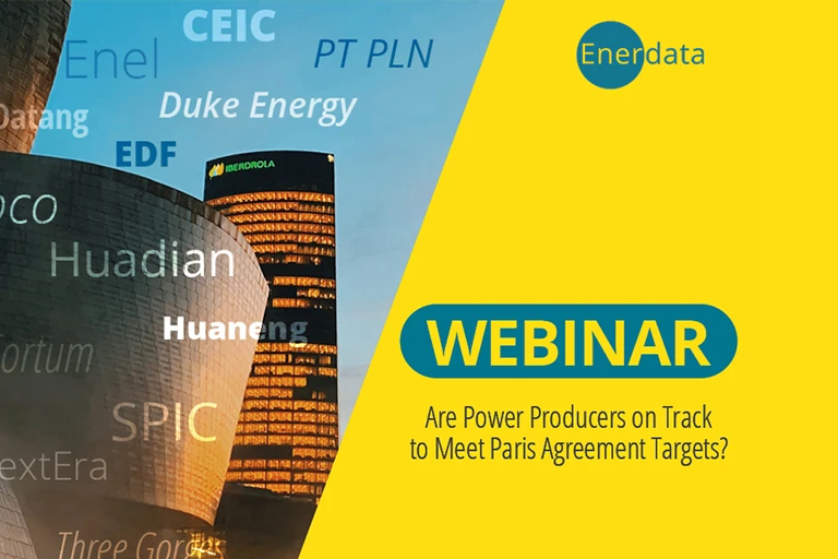 Power generation companies Power generation companies