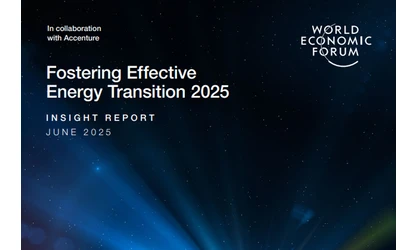 WEF Report